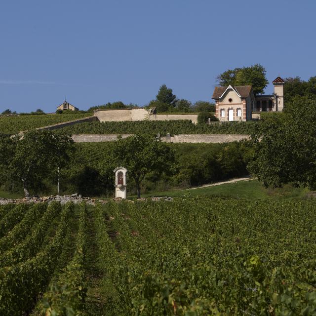 Maison Vigneronne Meursault