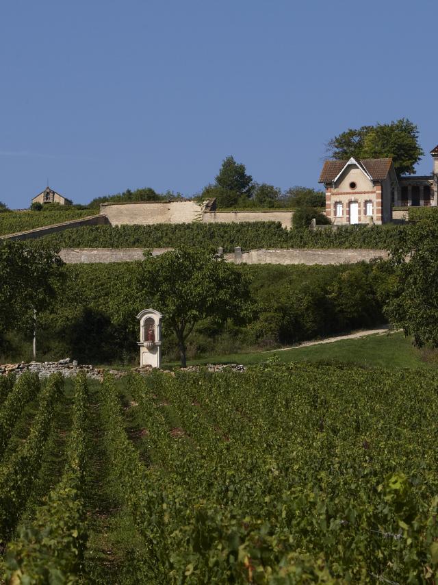 Maison Vigneronne Meursault