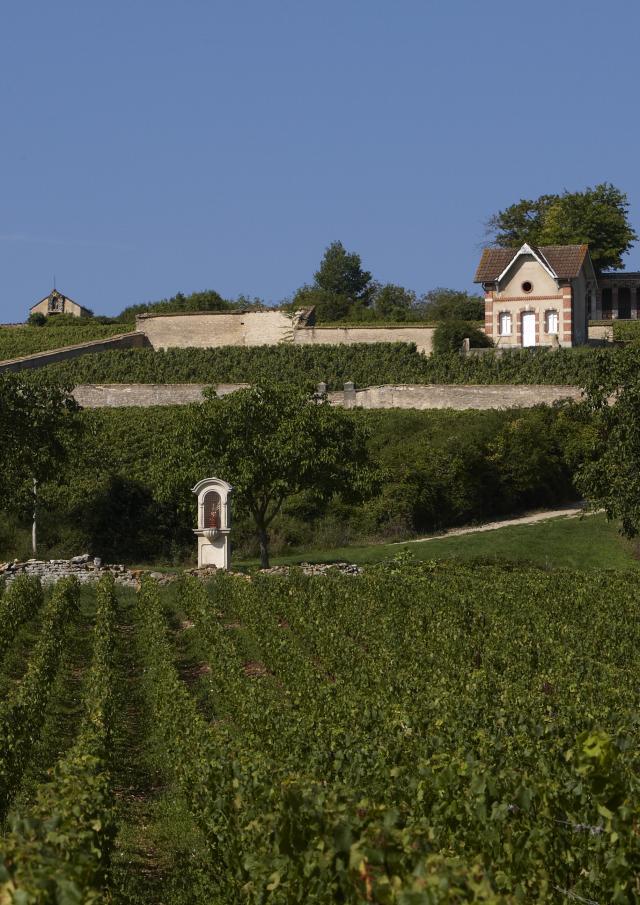 Maison Vigneronne Meursault