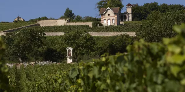 Maison Vignes Meursault