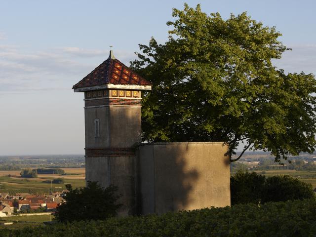 Maison Vignobles