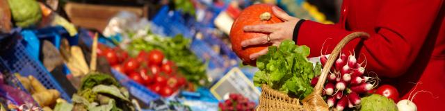 Walk Chagny Beaune Vegetables