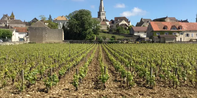 Meursault