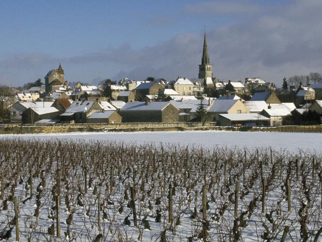 Village de Meursault en Hiver