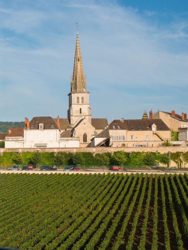 Meursault Vignes