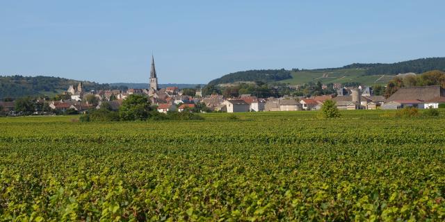 Meursault Vignobles 3