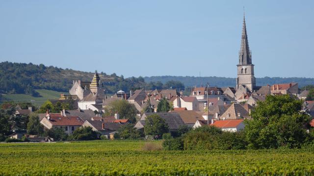 Meursault Vignobles 4