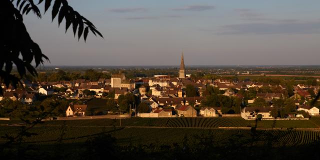 Meursault Village 2