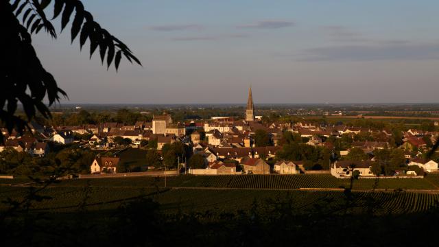 Meursault Village 2