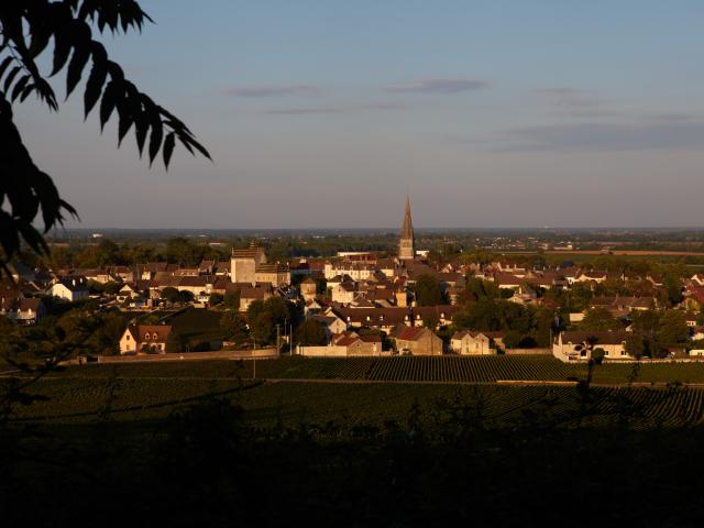 Meursault Village 2