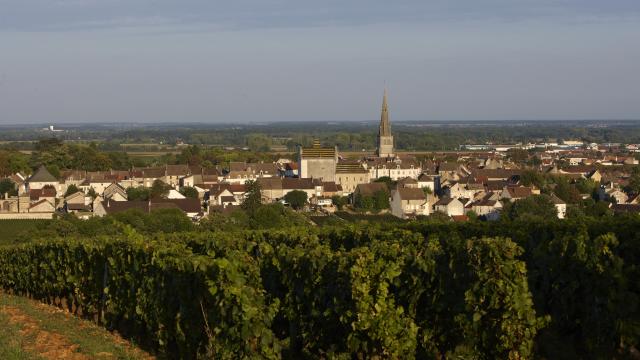 Village de Meursault