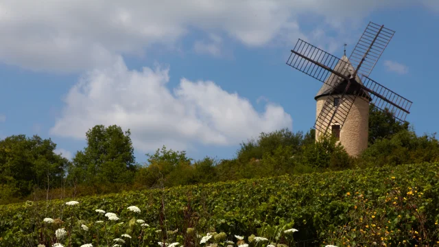 Moulin Ete Santenay