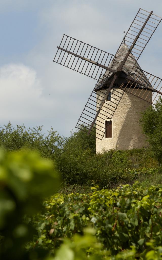 Moulin de Santenay