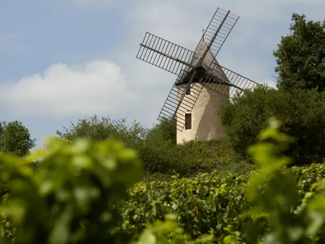 Moulin de Santenay