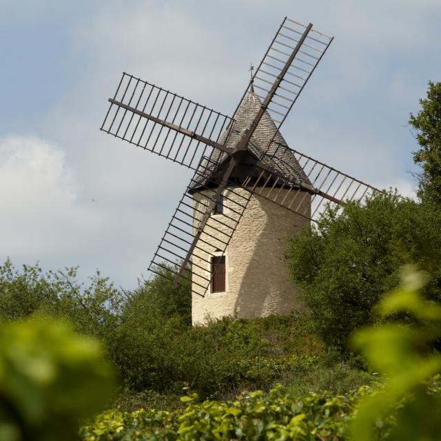 Santenay Mill