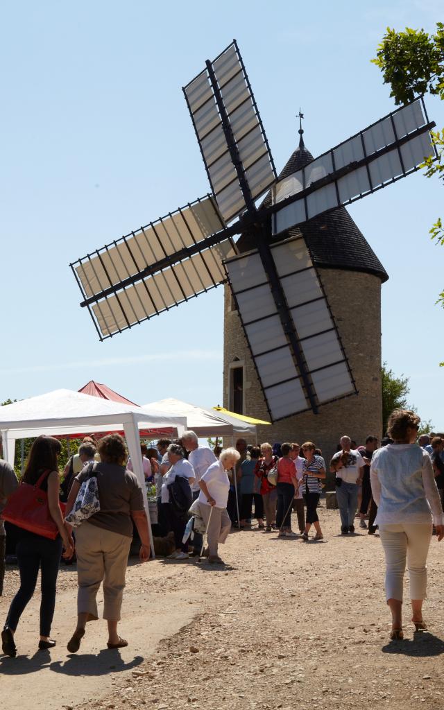 Moulin Santenay Ete