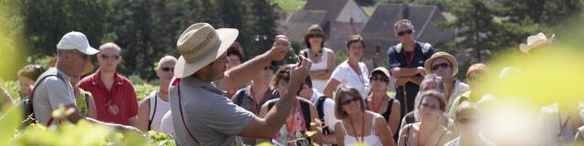 Oenolay Tour Explications dans les vignes du vigneron à Nolay à un groupe visiteurs