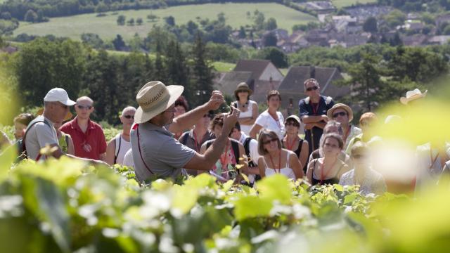 Oenolay Tour Explications dans les vignes du vigneron à Nolay à un groupe visiteurs