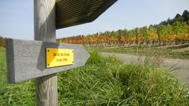 Tafel Rundwanderweg