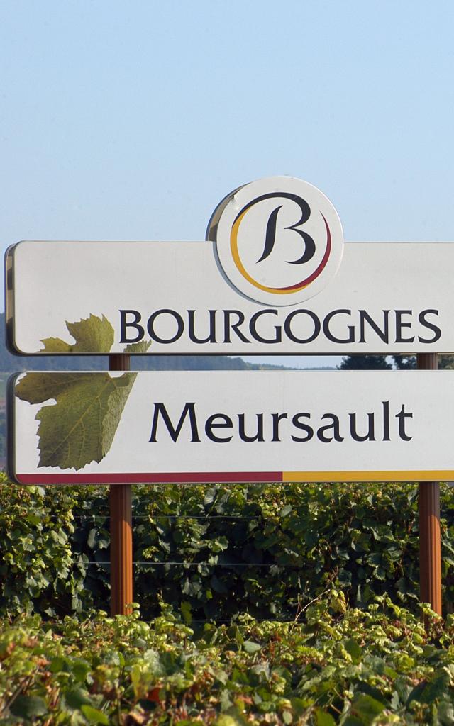 Meursault panel