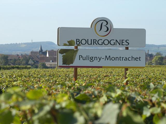 Puligny Montrachet bord