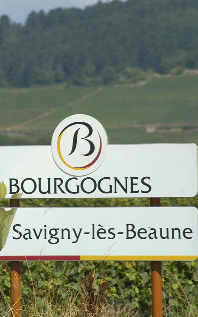 Painel de vinhos de Savigny-lès-Beaune