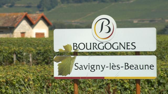 Panneau viticole de Savigny-lès-Beaune