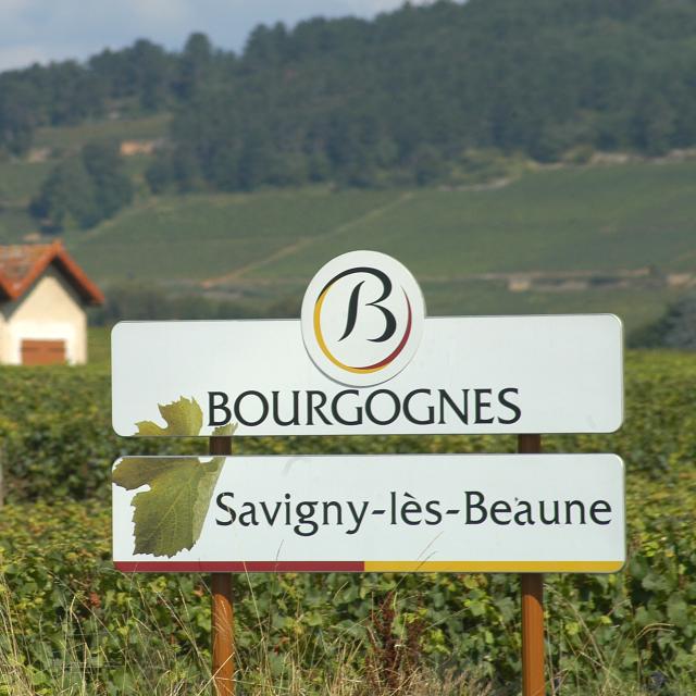 Weintafel in Savigny-lès-Beaune