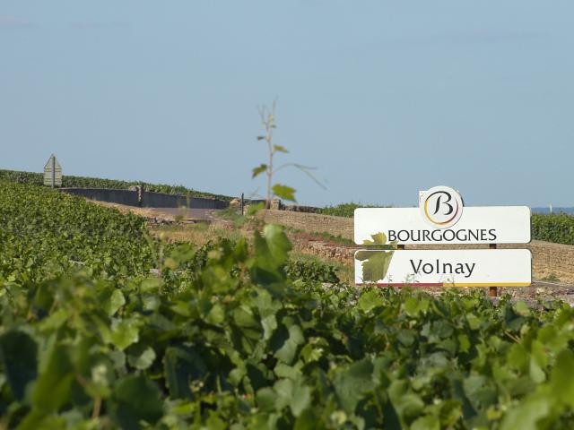 Panneau Volnay