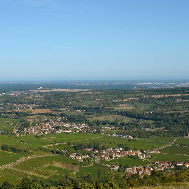 Panorama Santenay