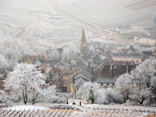 Pernand Vergelesses Hiver Village