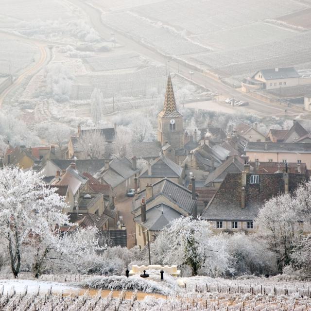 Pernand Vergelesses Hiver Village