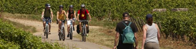 Circuito de passeios a pé e ciclismo Voie Des Vignes Burgundy