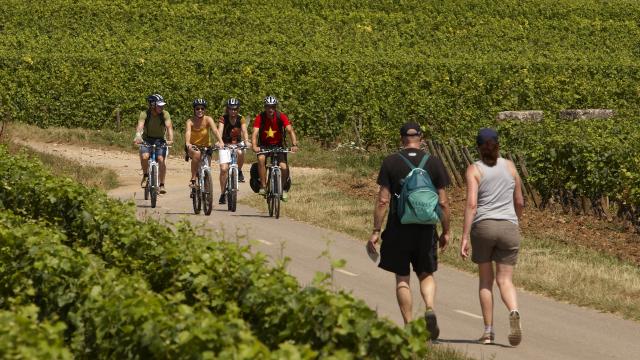 Circuito de passeios a pé e ciclismo Voie Des Vignes Burgundy