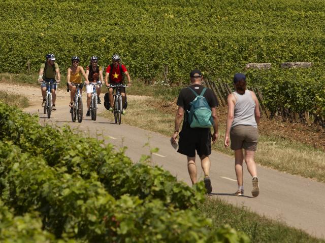 Randonnee Pied Velo Circuit Voie Des Vignes Bourgogne