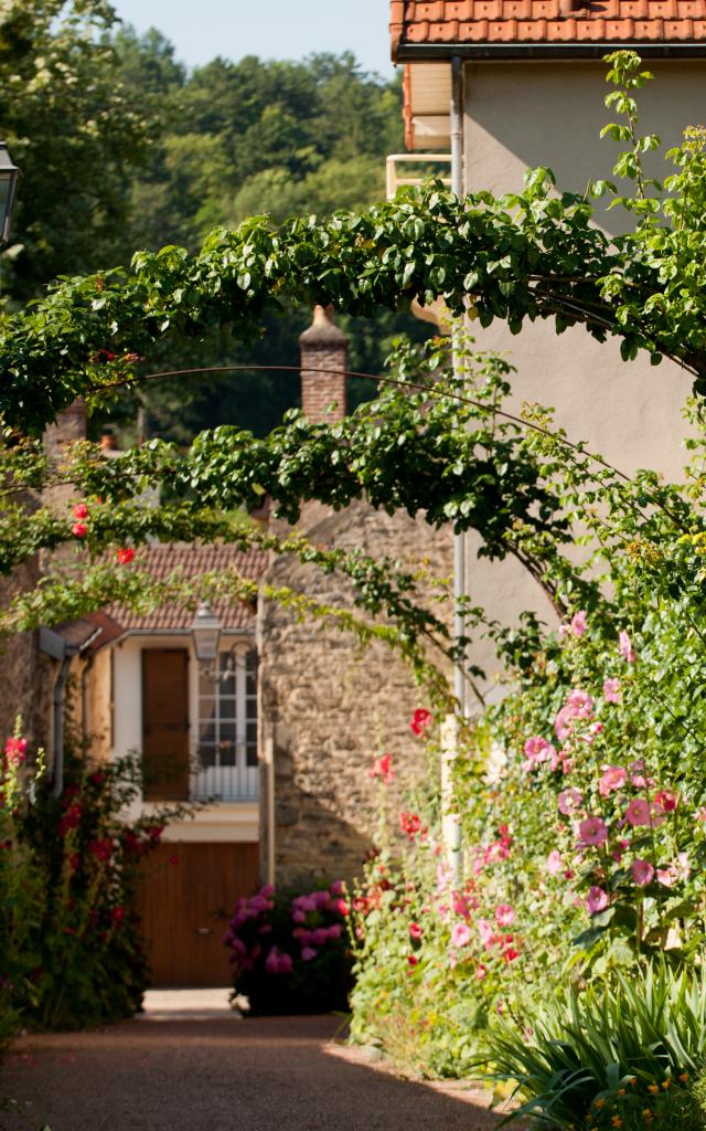 Flowered alley of Savigny-lès-Beaune