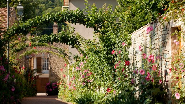 Ruelle fleurie de Savigny-lès-Beaune