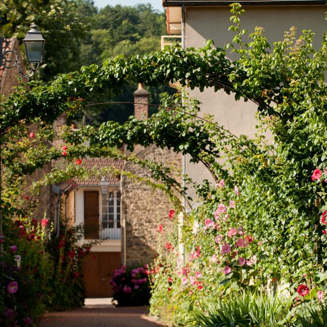 Ruelle fleurie de Savigny-lès-Beaune