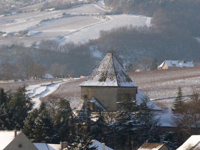 Santenay Hiver