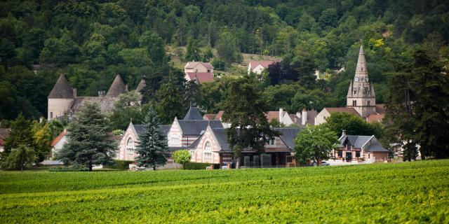 Savigny-lès-Beaune - Henri de Villamont