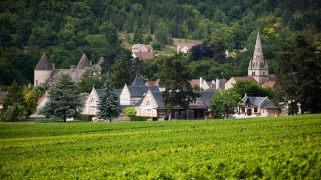 Savigny-lès-Beaune - Henri de Villamont