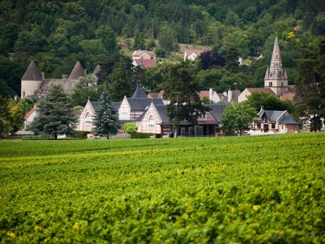 Savigny-lès-Beaune - Henri de Villamont