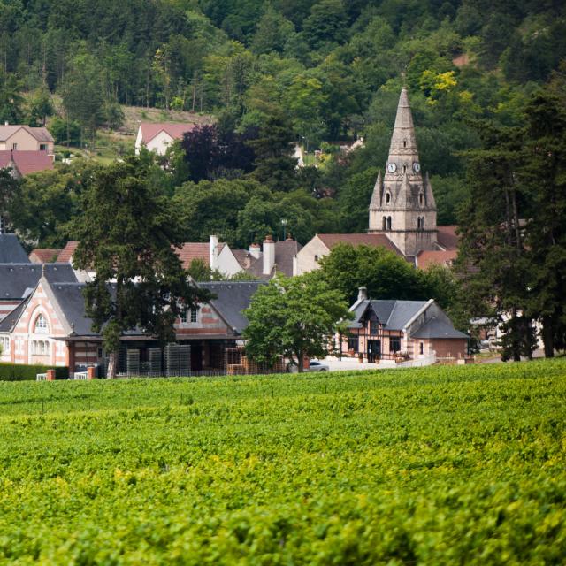 Savigny-lès-Beaune - Henri de Villamont