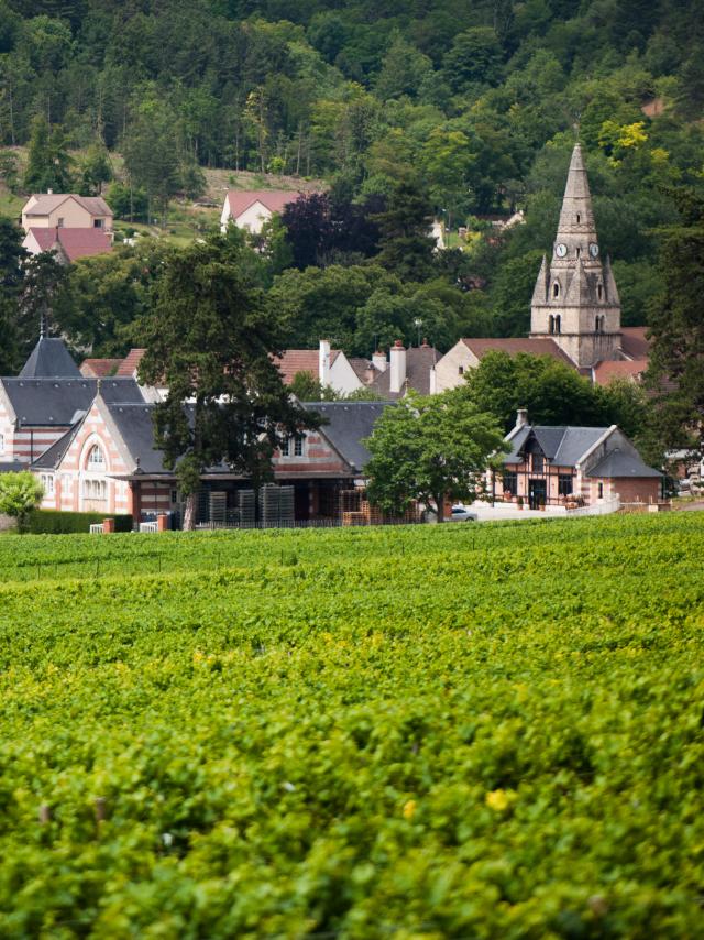 Savigny-lès-Beaune - Henri de Villamont