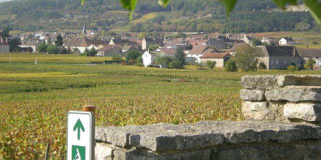 Veloroute Puligny