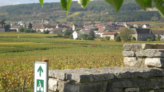 Veloroute Puligny