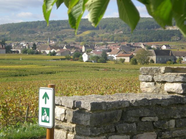 Veloroute Puligny