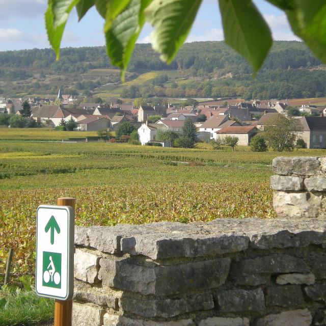 Veloroute Puligny