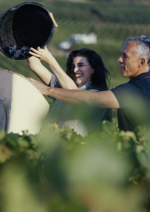 Cosecha de otoño de los Amigos de los Viñedos de Borgoña