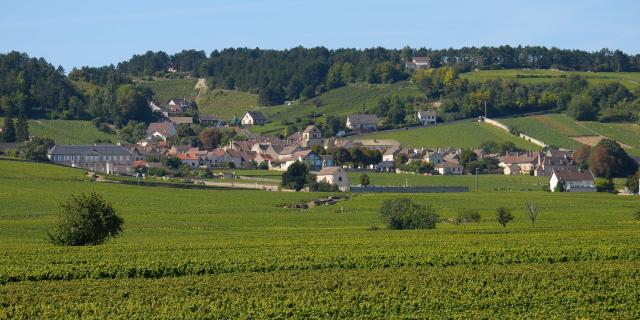 Volnay vineyards